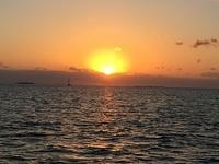 Rosemary - Key West 05-04-2017 (39)