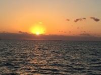 Rosemary - Key West 05-04-2017 (40)