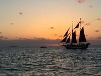 Rosemary - Key West 05-04-2017 (42)