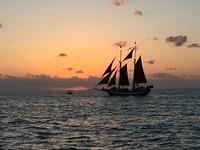 Rosemary - Key West 05-04-2017 (43)
