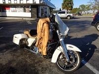 Debbie - Cals Ride Stumpknockers 11-19-2017 (24)