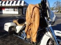 Debbie - Cals Ride Stumpknockers 11-19-2017 (25)