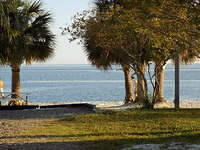 Edi - Cedar Key 2017-11-17 (100)