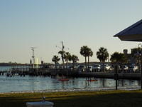 Edi - Cedar Key 2017-11-17 (101)
