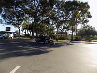 Edi - Cedar Key 2017-11-17 (13)