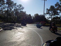 Edi - Cedar Key 2017-11-17 (16)
