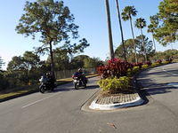 Edi - Cedar Key 2017-11-17 (17)