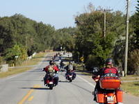 Edi - Cedar Key 2017-11-17 (23)