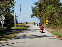 Edi - Cedar Key 2017-11-17 (27)