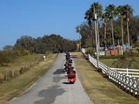 Edi - Cedar Key 2017-11-17 (32)