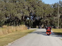 Edi - Cedar Key 2017-11-17 (33)