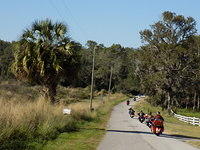 Edi - Cedar Key 2017-11-17 (34)
