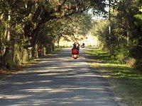 Edi - Cedar Key 2017-11-17 (36)