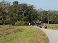 Edi - Cedar Key 2017-11-17 (37)