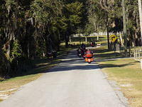 Edi - Cedar Key 2017-11-17 (38)