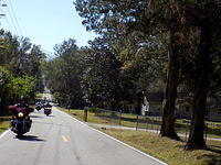 Edi - Cedar Key 2017-11-17 (42)
