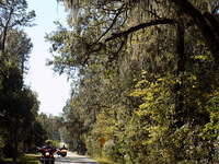 Edi - Cedar Key 2017-11-17 (43)
