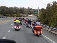 Edi - Cedar Key 2017-11-17 (51)