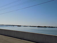 Edi - Cedar Key 2017-11-17 (57)