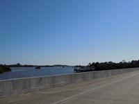 Edi - Cedar Key 2017-11-17 (58)