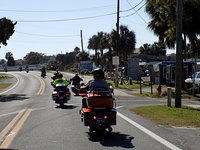Edi - Cedar Key 2017-11-17 (64)