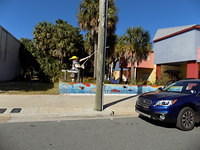 Edi - Cedar Key 2017-11-17 (71)