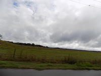 Edi - Red Elephant 2017-11-12 (17)