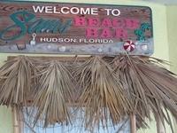 Debbie - Sams Hudsons 10-01-2017 (55)