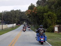 Edi - Seagrass Homosassa 10-28-2017 (18)