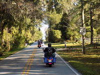 Edi - Seagrass Homosassa 10-28-2017 (32)