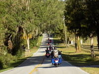 Edi - Seagrass Homosassa 10-28-2017 (33)