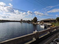 Edi - Seagrass Homosassa 10-28-2017 (38)