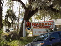 Edi - Seagrass Homosassa 10-28-2017 (39)
