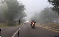 29342527 10156515795136686 3643940678617706614 n