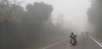 29365610 10156515795301686 2168251212312274545 n