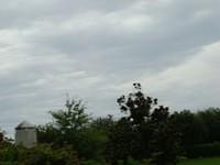 aau