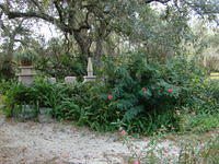 Soloman's Castle Ona 12-15-2013 (26)