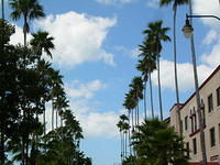 abf