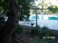 aar
