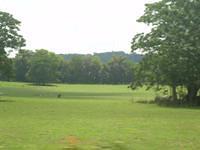 aan