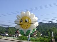 Balloon Festival