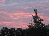 aac