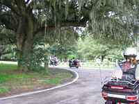aae