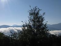 aba