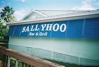Ballyhoo
11/15/08