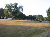 aaf