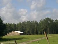 aac