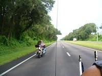 aae