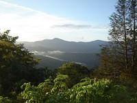 acv