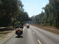 Micanopy - Sunday Jan 30 2011 
